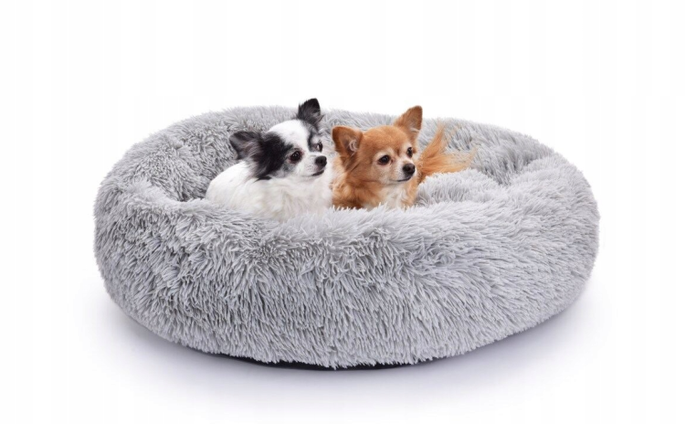 Zrzut ekranu 2026-03-18 143424.png